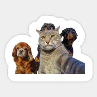 Dogs and cat take a selfie Sticker